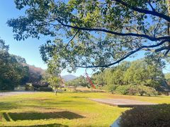 -陶祖圣境风景区