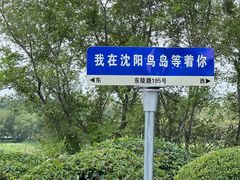 -沈阳鸟岛