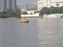 -长洲渡车船码头