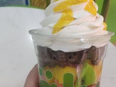 -Salud撒露欧洲冻酸奶(五道口购物中心店)