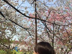 -荷花亭·湖北融合菜(中商广场店)