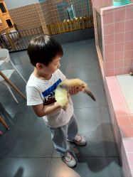 -Moni星球萌宠·小马宝莉·灵蛇·高端高阶全萌宠互动体验俱乐部(红豆国际广场店)