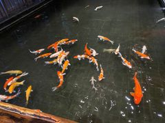 -顺丰国宴(工业博物馆店)