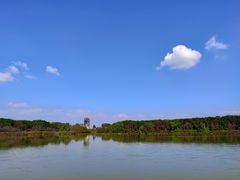 -大湾区中央湿地公园