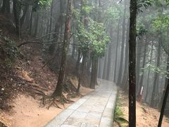-井冈山风景名胜区-黄洋界