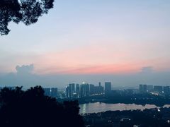 -顺峰山公园