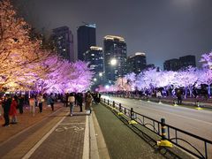 -西北湖绿化广场