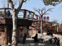 -上海野生动物园