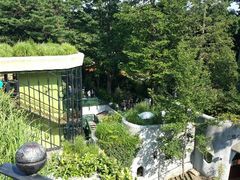 android_upload_pic-三鹰之森吉卜力美术馆