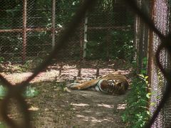 -哈尔滨北方森林动物园
