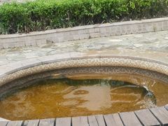 -河源万绿湖美思威尔顿酒店