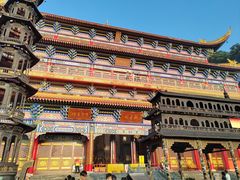 -东莞市大岭山森林公园