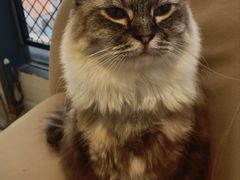 -怪兽屋·羊驼·猫咖·狗咖(俊华广场店)