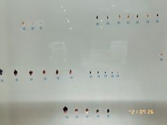 -青岛贝壳博物馆