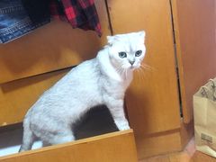-傣妹火锅(罗宾森购物中心店)