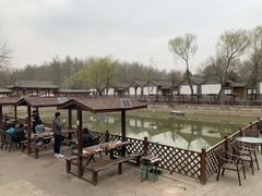-尚庄度假村·庭台树下·户外烧烤·团建CS·轰趴营地(上庄水库店)