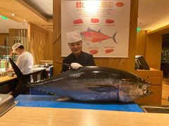 长崎蓝鳍金枪鱼-西村日本料理(香格里拉饭店)