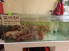 -真浪大家乐海鲜餐馆