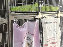-派美特宠物医院·核磁CT·骨科肿瘤·疑难转诊(沈农禾丰店)