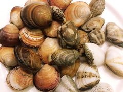 -火舞泰·泰式海鲜火锅餐厅(世纪城店)