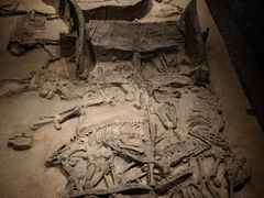 -北京大葆台遗址博物馆