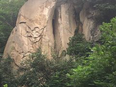 -北京鹫峰国家森林公园