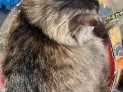 -平行世界·猫咖(首经贸店)