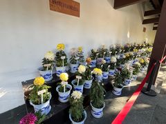 -杭州植物园