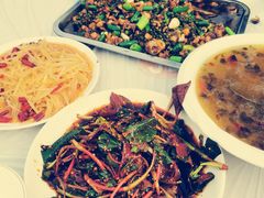 -铁山坪森林公园