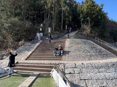 -千岛湖东南湖区
