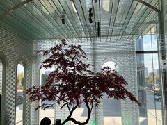 -一麦·龙岛(上海青浦店)
