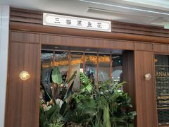 -三猫黑鱼花(南大店)