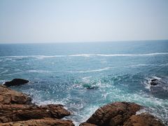 -广东惠东海龟国家级自然保护区