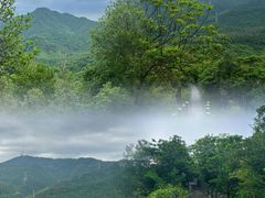 -田心森林公园