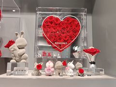 -ROSEONLY诺誓(国际广场购物中心店)