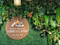-小熊维尼高端儿童摄影(南山店)