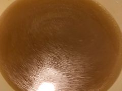 -正斗潮州卤鹅