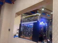 -金鼎雪山牦牛杂火锅(理县总店)