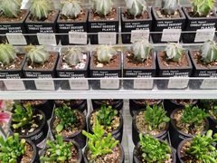 -KKV(重庆东原悦荟主力店)