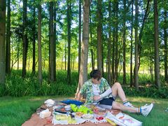 -上海长兴岛郊野公园