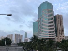 -万绿园