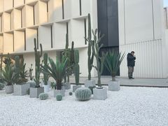 -兔途体检(十里堡青年路店)