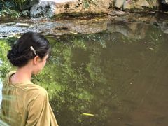 -龙头寺公园