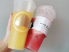 -一叶觅山(半边街店)