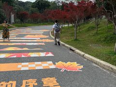 -广州市帽峰山景区