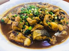 -全乐鱼馆·淳牌有机鱼直营店