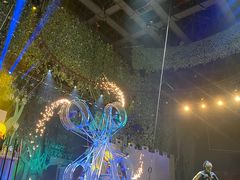 -灵玲国际马戏城