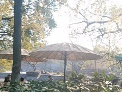 -星巴克(西湖天地店)