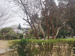 -孔府