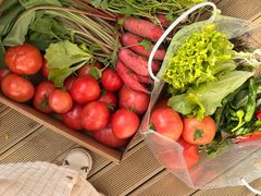 -禧宴Joyous Restaurant(禧园店)